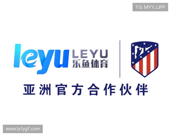 乐鱼体育集团娱乐平台安全保障措施详解保障玩家资金与信息安全的最佳实践